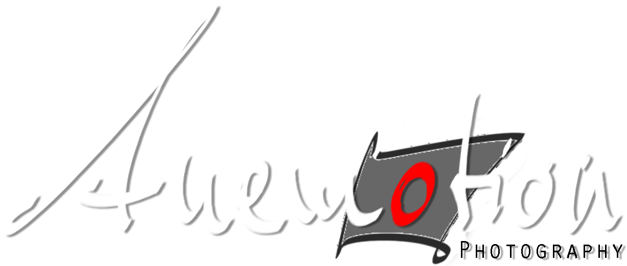 anemotion.net
